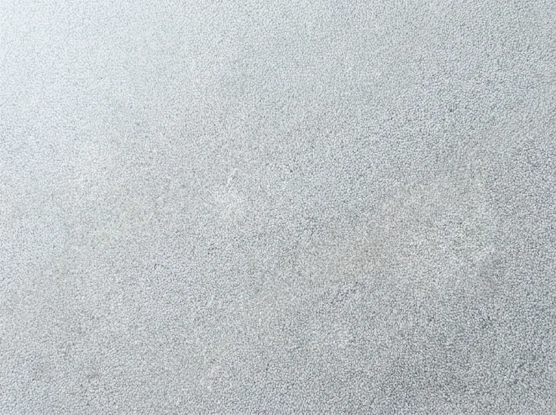 Freshly cleaned carpet after Wonder Clean